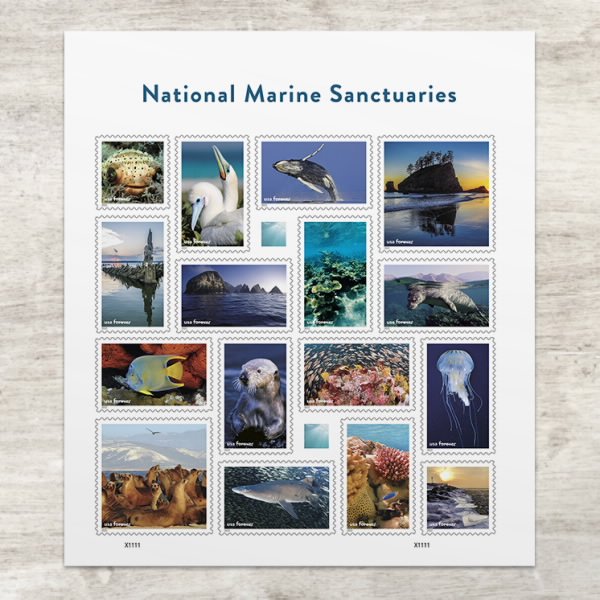 Forever Stamps First Class Postage Stamps National Marine Sanctuaries Stamps 2022