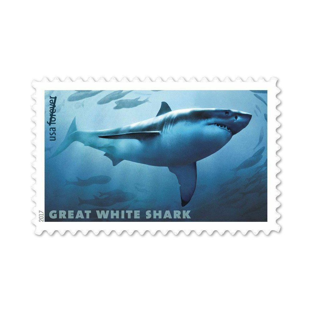 2017 First Class Postage Stamps Sharks