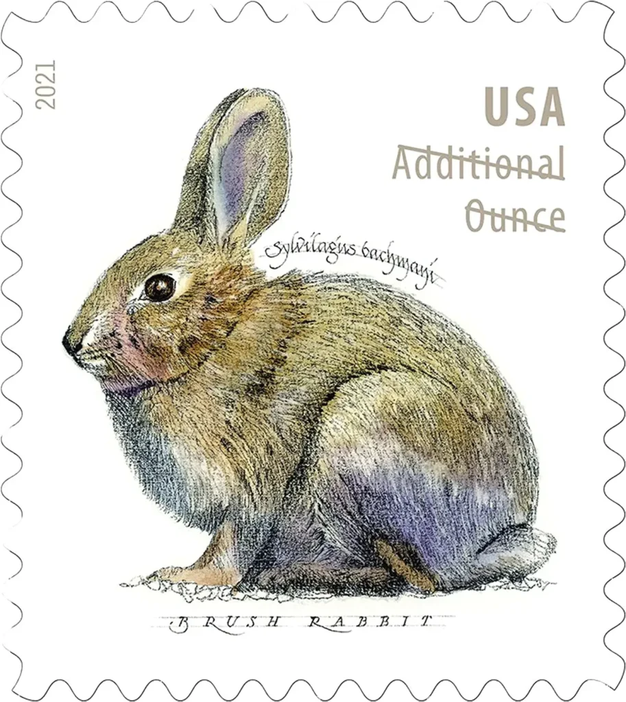 Brush Rabbit 2021 — Additional Ounce Stamps