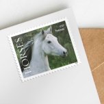 Horses 2024 - Image 2