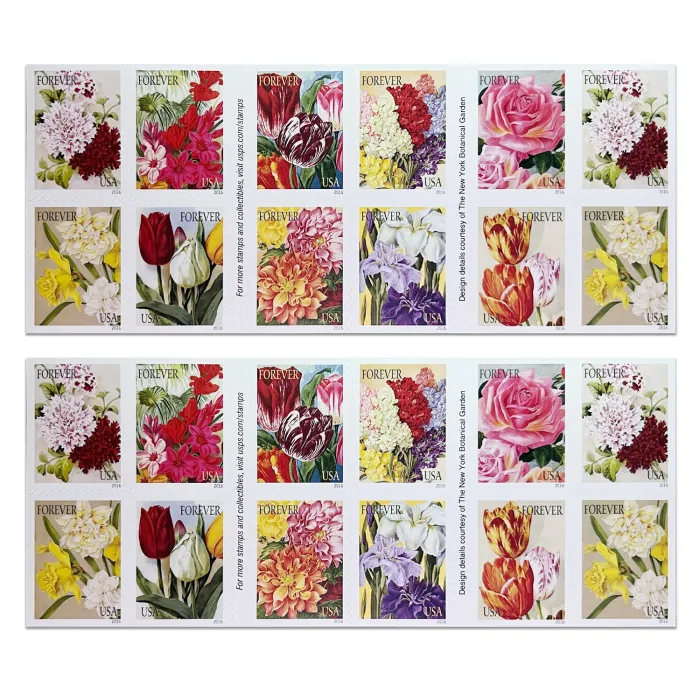 Botanical Art 2016 - Image 2