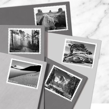 Ansel Adams 2024 - Image 2