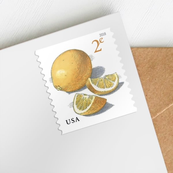 2018 Meyer Lemons - Image 2