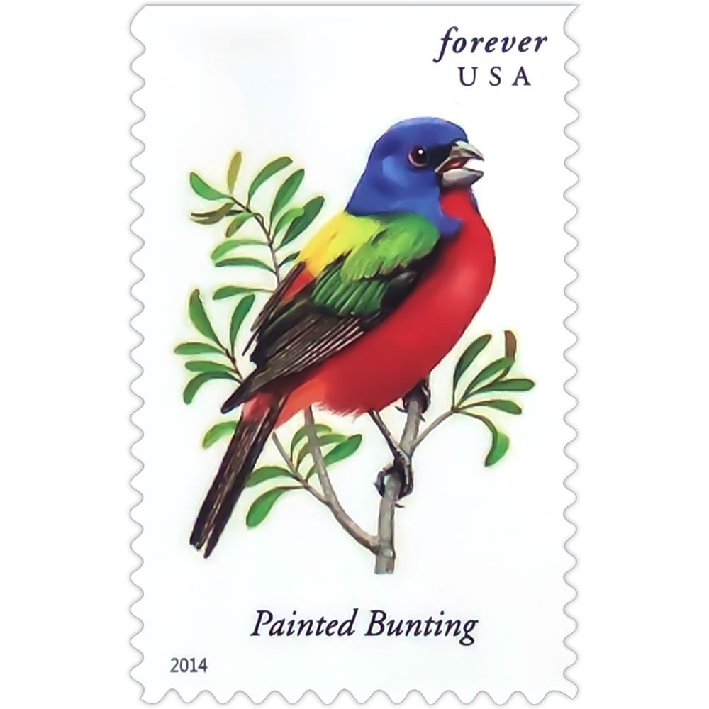 2014 Songbirds - Image 5