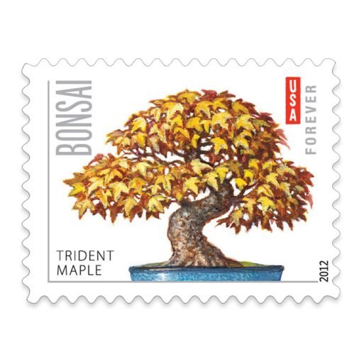2011 Forever Stamps First Class Postage Stamps Bonsai Trees - Image 4