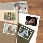Horses 2024 - Image 4