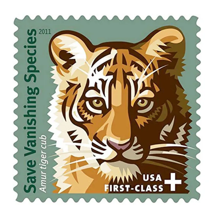 Save Vanishing Species Amur Tiger 2011
