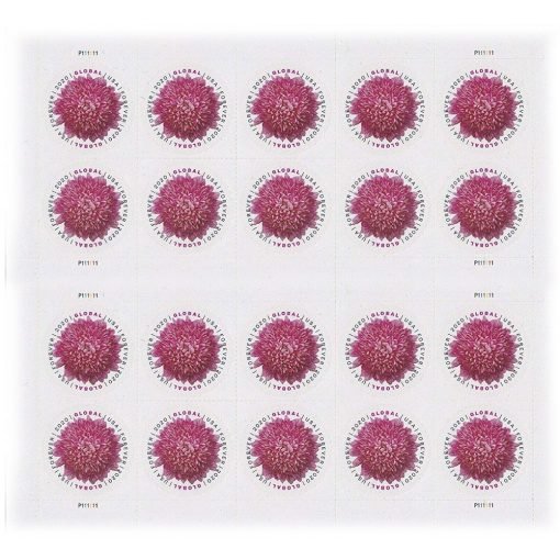 2020 Global: Chrysanthemum - Image 3