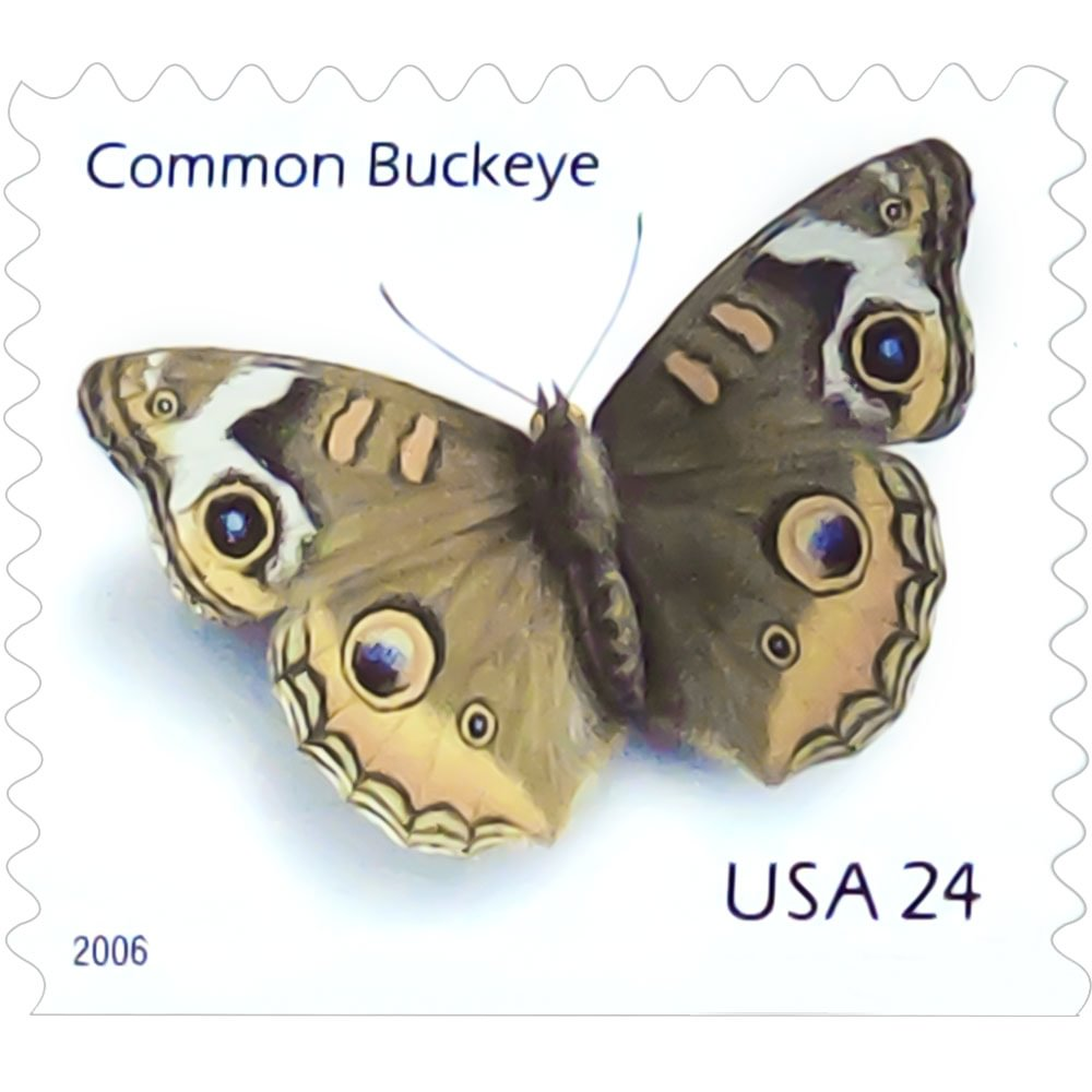 Common Buckeye 2006 — 24¢ Postage Stamps