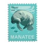 Save Manatees 2024 - Image 7
