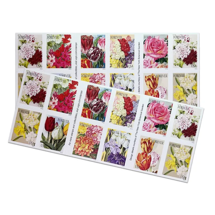 Botanical Art 2016 - Image 3