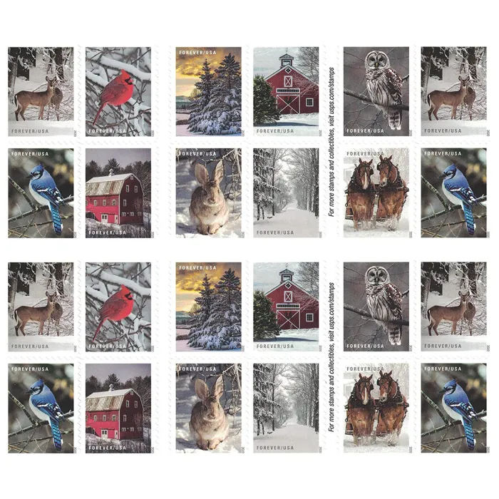 Winter Scenes 2020 - Image 2