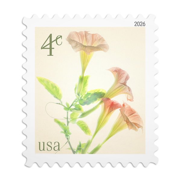 Angel’s Trumpets Stamps 2026