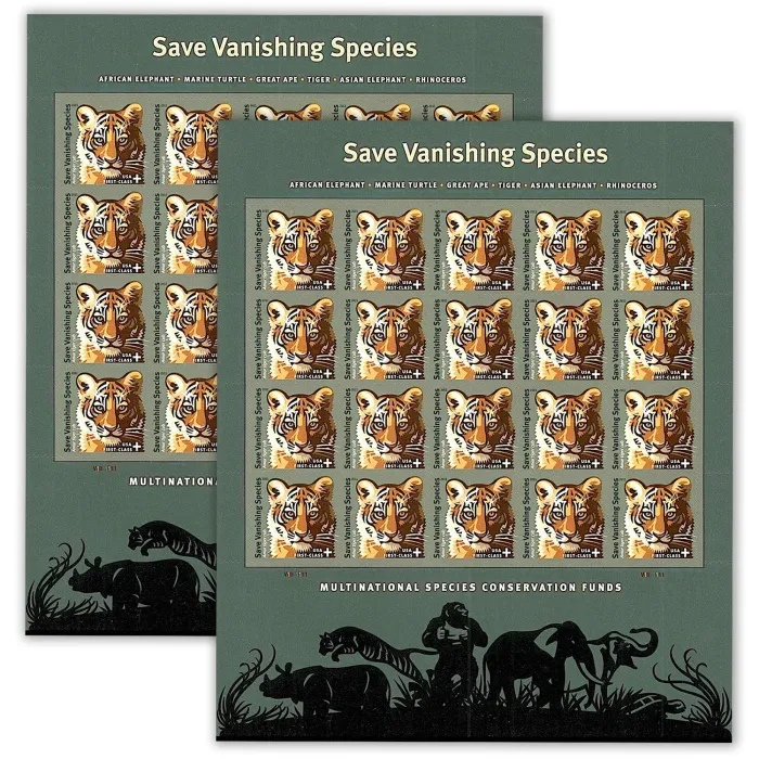 Save Vanishing Species Amur Tiger 2011 - Image 4