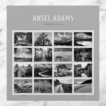 Ansel Adams 2024