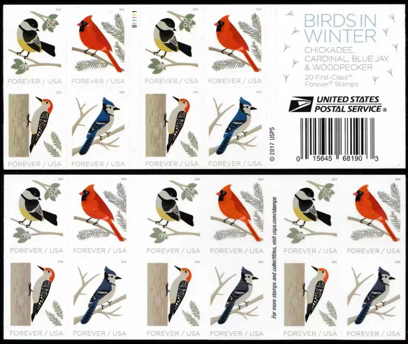 Birds of Winter 2018 - Image 2