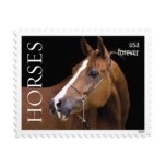 Horses 2024 - Image 3