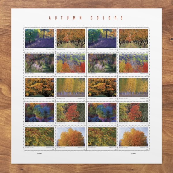 Autumn Colors Stamps 2024