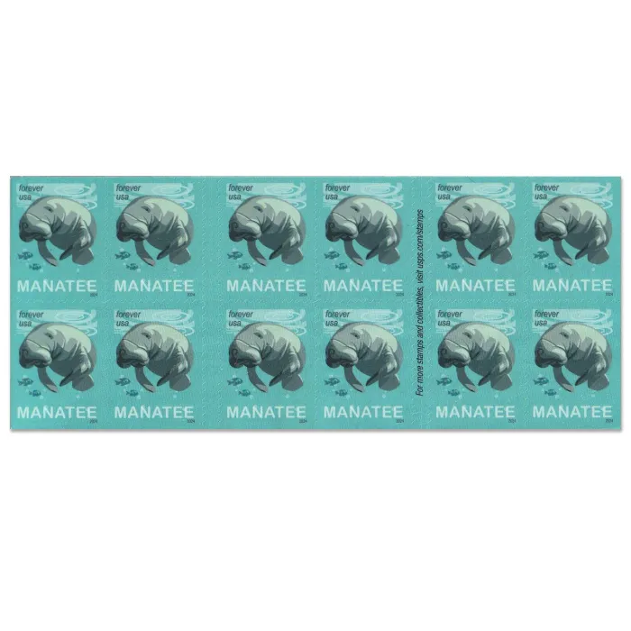 Save Manatees 2024 - Image 3