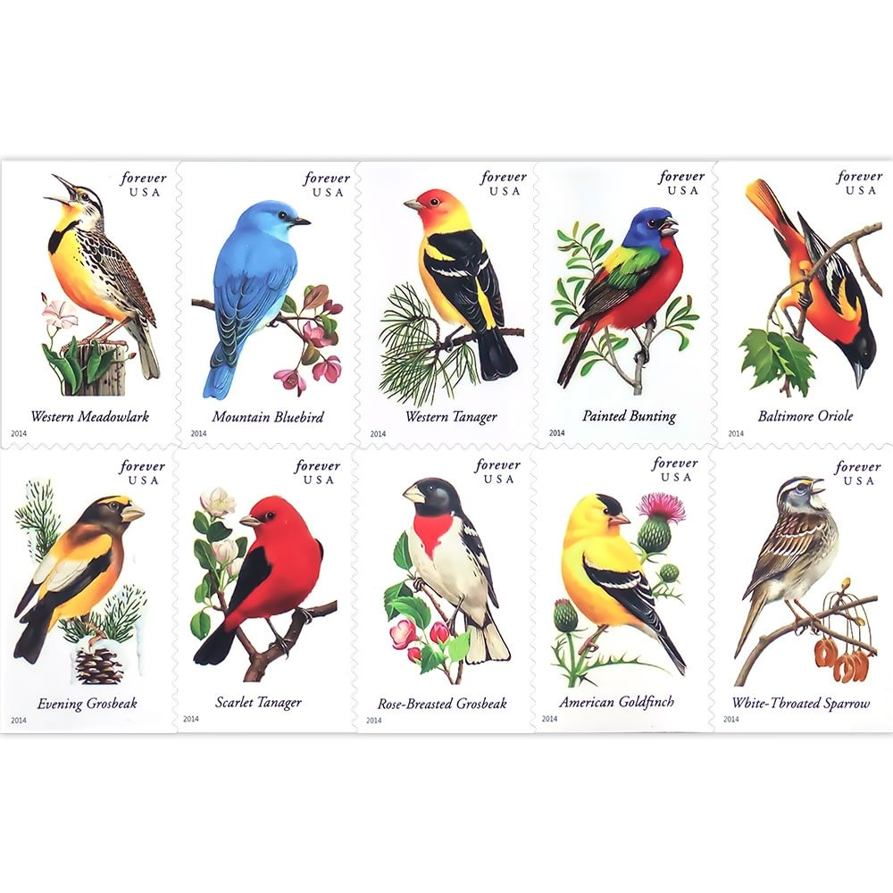 2014 Songbirds - Image 2