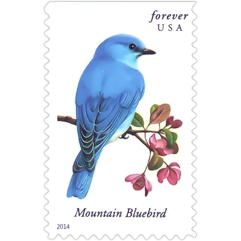 2014 Songbirds - Image 4
