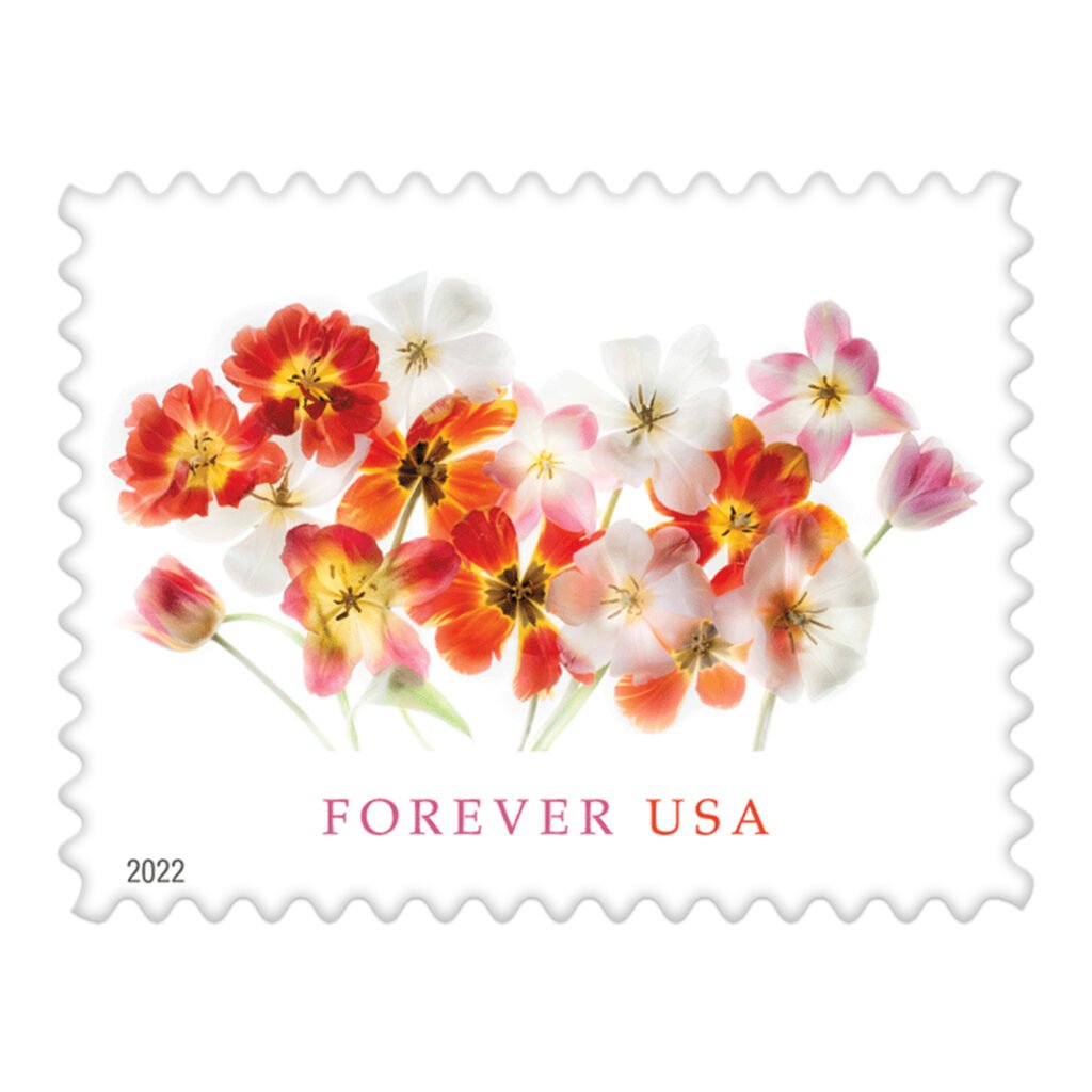 Tulips 2022