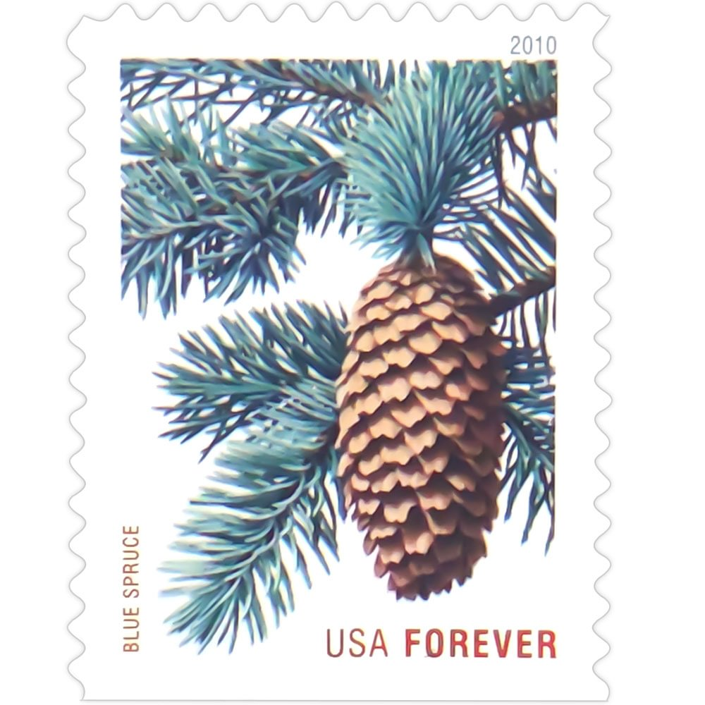 2010 Holiday Evergreens - Image 5