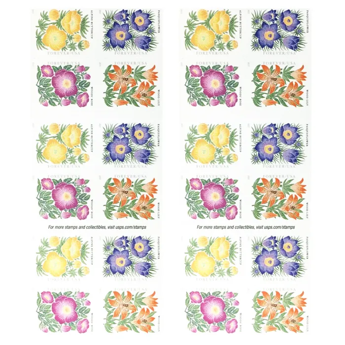 Mountain Flora 2022 - Image 2