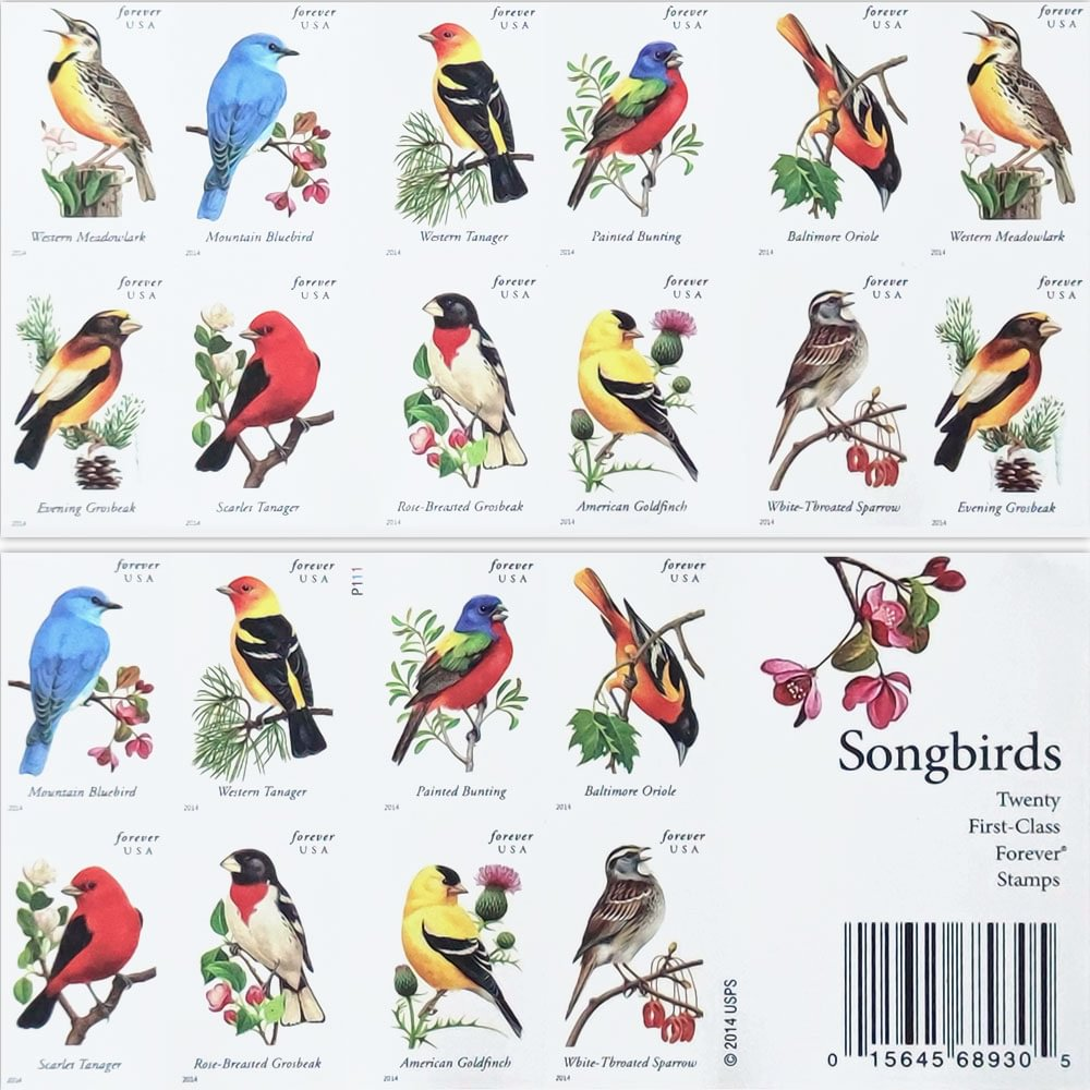 2014 Songbirds - Image 7