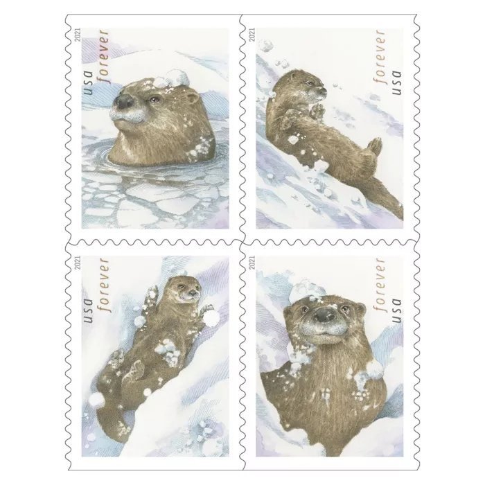 2021 Forever Stamps First Class Postage Stamps Otters in Snow - Image 2