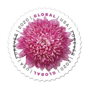 2020 Global: Chrysanthemum