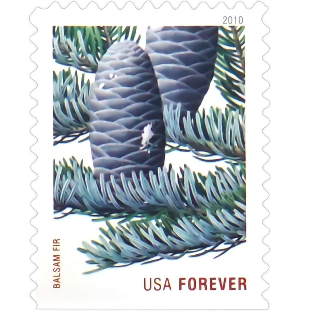 2010 Holiday Evergreens - Image 3
