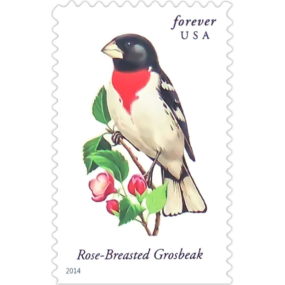 2014 Songbirds - Image 6
