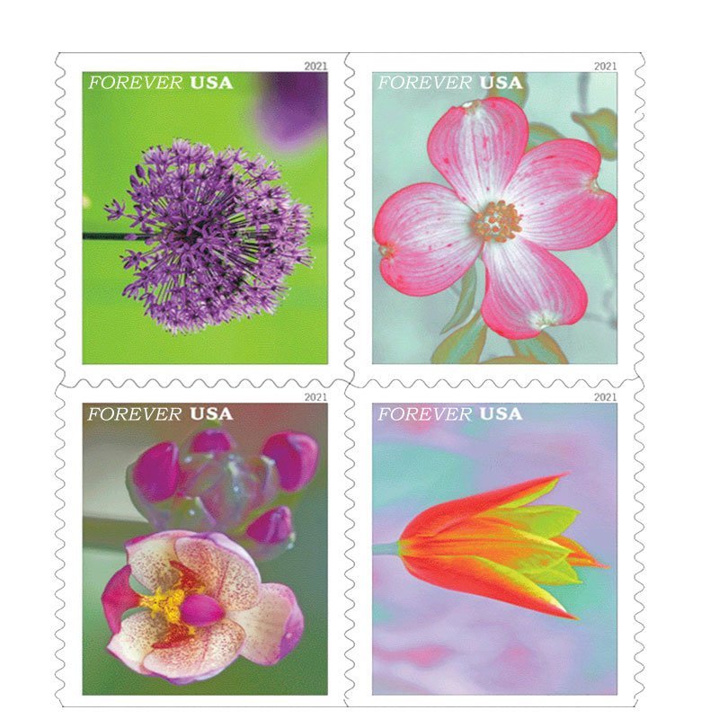 2021 Garden Beauty