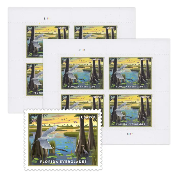 Florida Everglades 2023 - Image 3