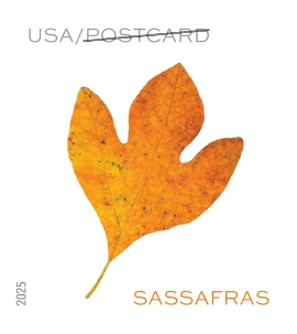 Vibrant Leaves Postcard Stamps 2025 - Image 3