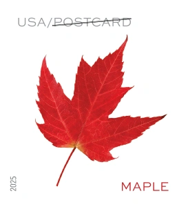 Vibrant Leaves Postcard Stamps 2025 - Image 2