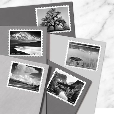 Ansel Adams 2024 - Image 3