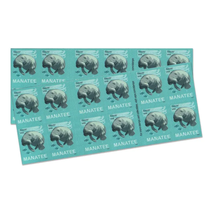 Save Manatees 2024 - Image 4