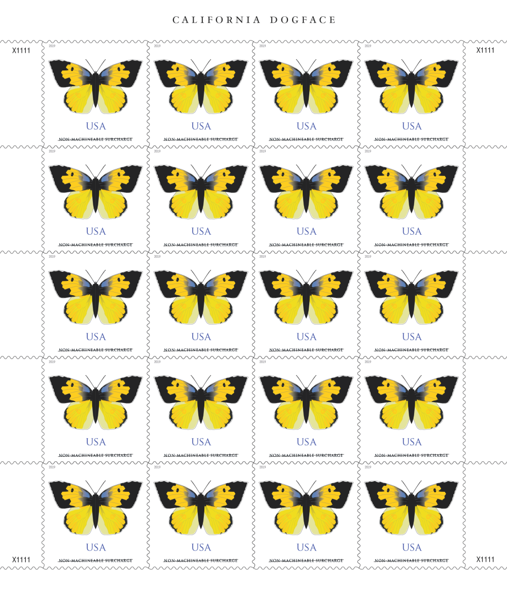 Forever Stamps First Class Postage Stamps California Dogface Butterflies 2019 - Image 2