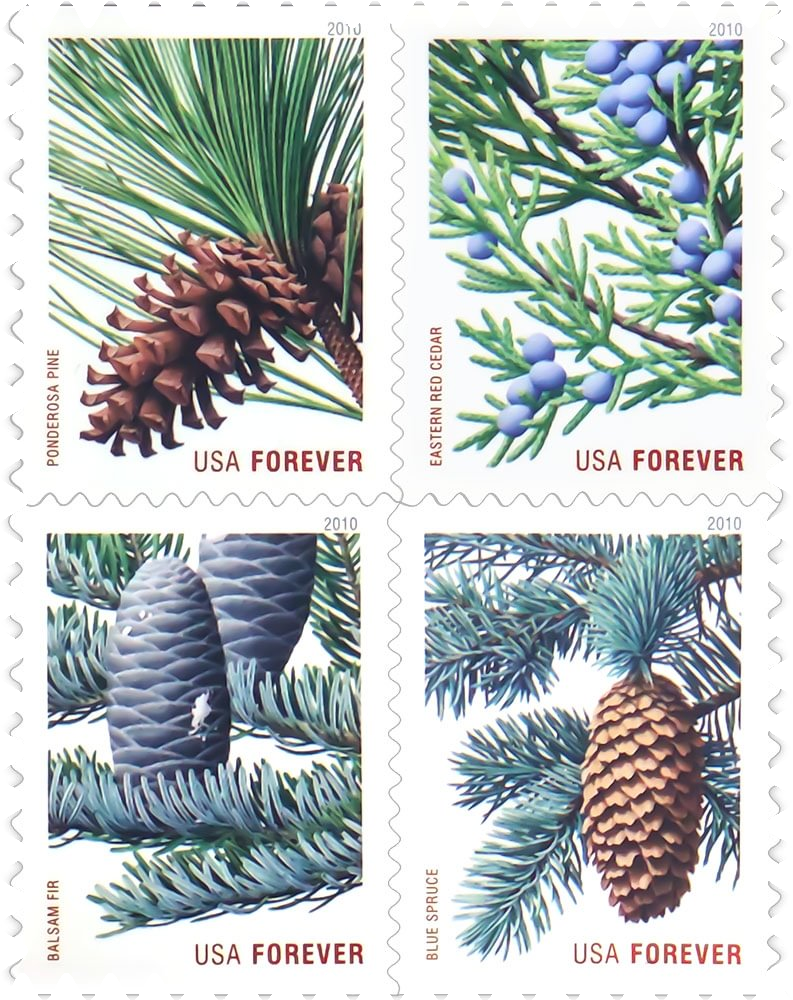 2010 Holiday Evergreens stamps